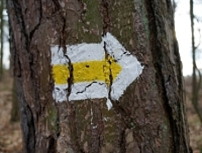 REZERWAT PRZYRODY BURSZTYNOWA GÓRA