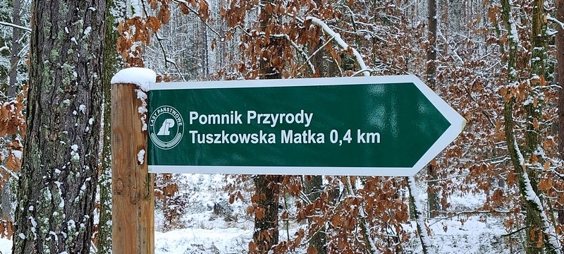 Do pomnika przyrody Tuszkowska Matka