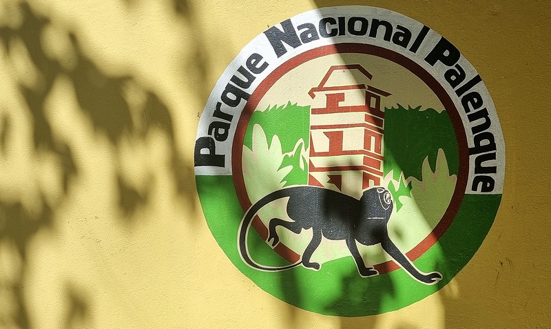Park Narodowy Palenque